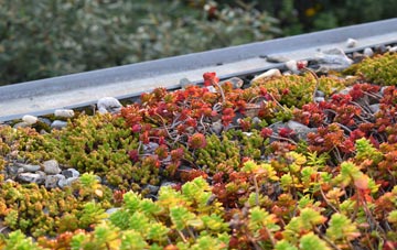 the cost of Staughton Highway green roof installation