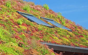 Staughton Highway living roof systems